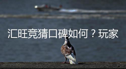 汇旺竞猜口碑如何?玩家真实体验与评价解析