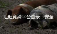汇旺竞猜平台登录：安全便捷的娱乐投注首选平台