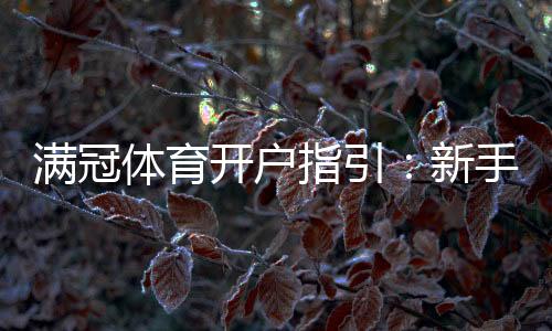 满冠体育开户指引：新手快速开户步骤、手机电脑图文教程与常见问题解答