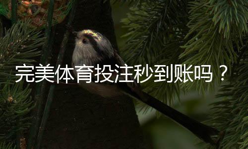 完美体育投注秒到账吗？到账时间、影响因素与快速到账攻略