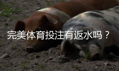 完美体育投注有返水吗？2026最新返水政策、计算方式与领取攻略
