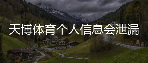 天博体育个人信息会泄漏吗？隐私风险评估与防护攻略