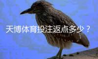 天博体育投注返点多少？2026最新返点比例、计算与领取规则详解