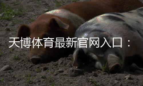 天博体育最新官网入口：官方登录、APP下载与安全访问全攻略