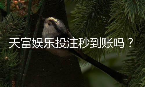 天富娱乐投注秒到账吗？实测到账速度与提款技巧分享