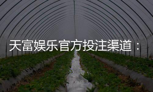 天富娱乐官方投注渠道：安全稳定的真人娱乐首选平台