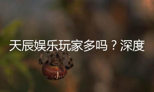 天辰娱乐玩家多吗？深度解析平台人气与玩家真实体验