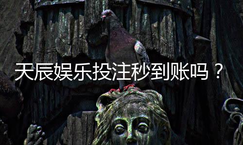 天辰娱乐投注秒到账吗？真实提现速度及用户体验揭秘