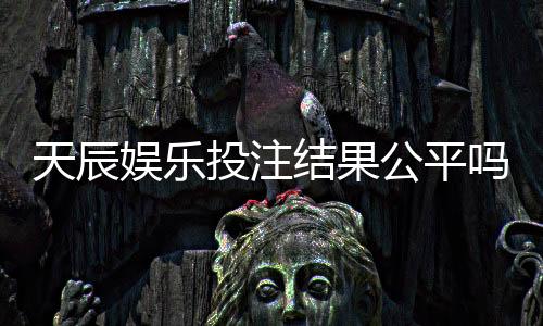 天辰娱乐投注结果公平吗？真实玩家经验分享与平台机制解析