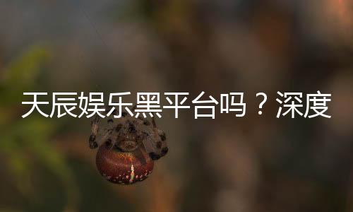 天辰娱乐黑平台吗？深度解析其安全性与玩家真实反馈