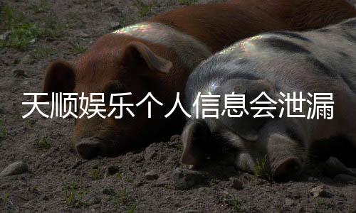 天顺娱乐个人信息会泄漏吗？资深玩家解析平台安全性