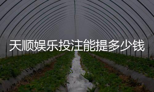 天顺娱乐投注能提多少钱？揭秘提款额度与到账时间