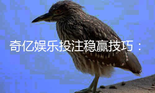 奇亿娱乐投注稳赢技巧：掌握三大策略轻松提升胜率