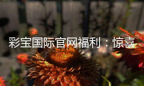 彩宝国际官网福利：惊喜不断优惠精彩