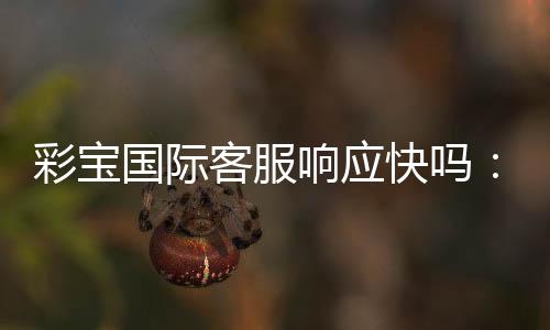 彩宝国际客服响应快吗：专业分析与真实体验