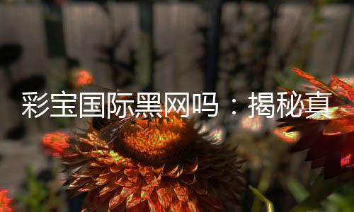 彩宝国际黑网吗:揭秘真相