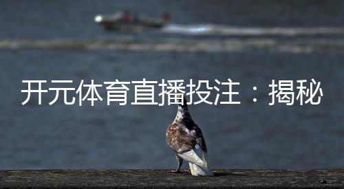 开元体育直播投注:揭秘高胜率玩家的实战技巧与投注策略