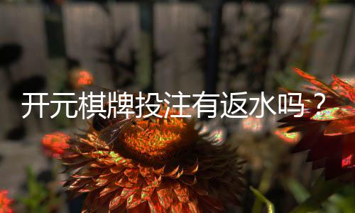 开元棋牌投注有返水吗?揭秘返水规则与实战技巧