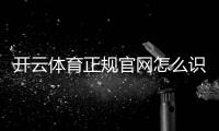开云体育正规官网怎么识别？官方入口、验证方法与安全防骗全攻略