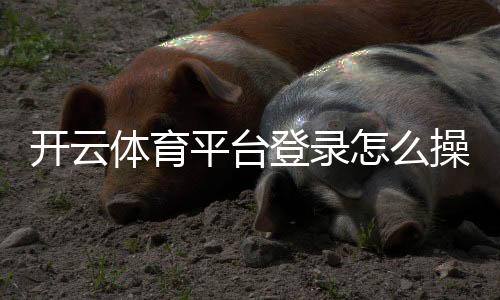 开云体育平台登录怎么操作？官网入口、APP登录与常见问题全攻略
