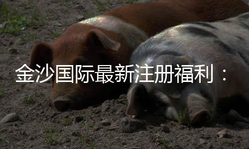 金沙国际最新注册福利：新会员专享豪礼与首存优惠揭秘
