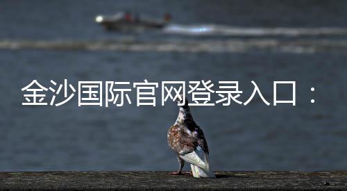 金沙国际官网登录入口：畅享顶级娱乐体验与安全登录指南