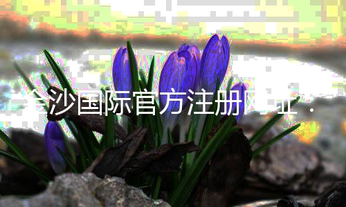 金沙国际官方注册网址：畅享顶级棋牌娱乐与电子游艺盛宴