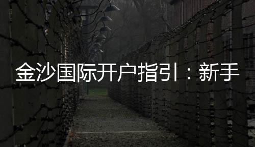 金沙国际开户指引：新手必看的详细注册流程与技巧
