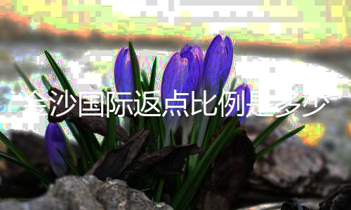 金沙国际返点比例是多少？揭秘VIP会员专属回馈方案