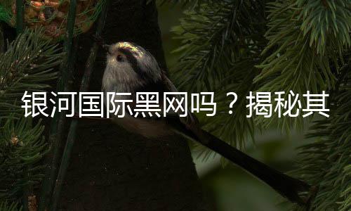 银河国际黑网吗？揭秘其真伪与玩家安全指南
