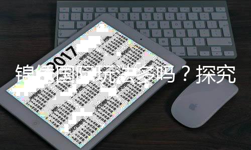 锦绣国际玩法多吗？探究多元化游戏体验