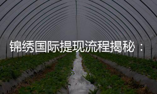 锦绣国际提现流程揭秘：简单快速，轻松取现！