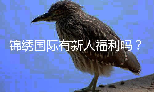 锦绣国际有新人福利吗？惊喜等着你