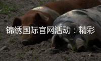 锦绣国际官网活动：精彩不容错过