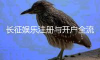 长征娱乐注册与开户全流程：轻松完成账号申请与游戏畅玩指南