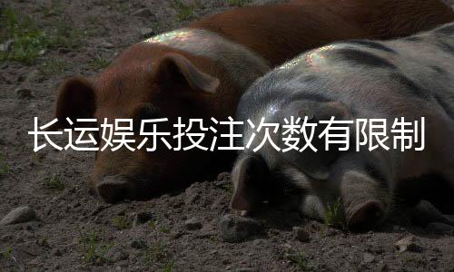 长运娱乐投注次数有限制吗?详细解析平台规则与技巧