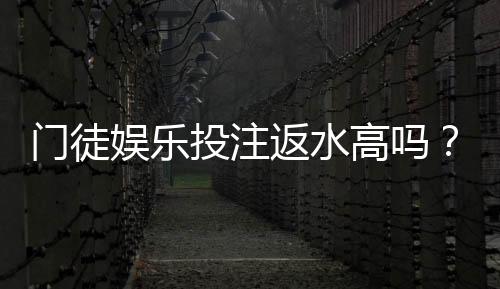 门徒娱乐投注返水高吗？揭秘高返水活动与实战技巧