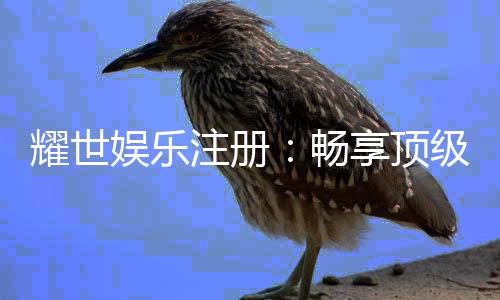 耀世娱乐注册：畅享顶级棋牌电游的尊贵体验