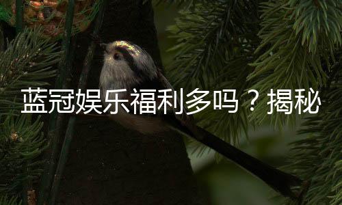 蓝冠娱乐福利多吗?揭秘其独家优惠与玩家真实反馈