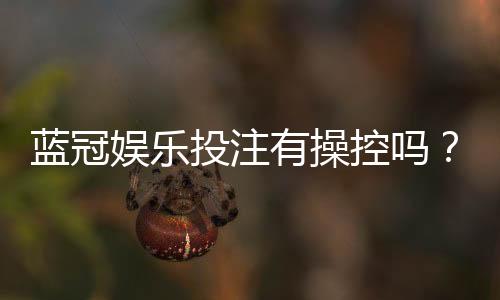 蓝冠娱乐投注有操控吗？深度解析平台公正性与防作弊机制