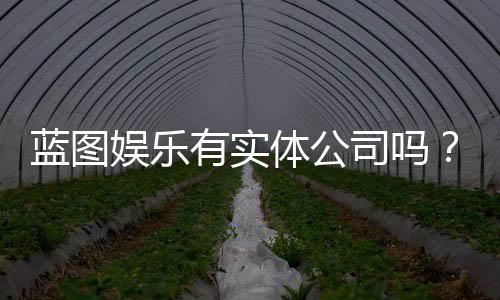 蓝图娱乐有实体公司吗？深入解析其线下运营与资质背景