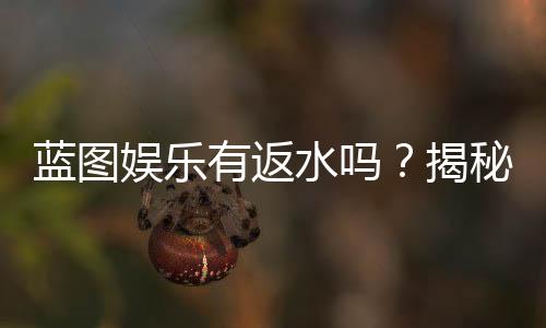 蓝图娱乐有返水吗？揭秘其返水政策与玩家福利详情