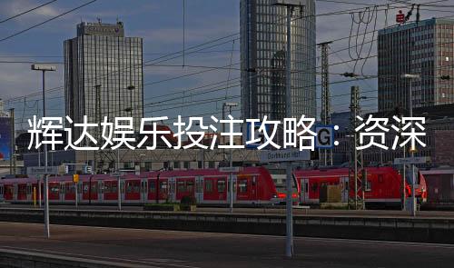 辉达娱乐投注攻略：资深玩家分享稳赢技巧与实战心得