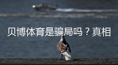 贝博体育是骗局吗？真相调查、用户评价与风险防范全攻略