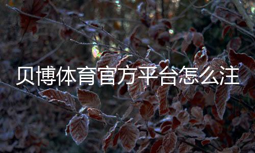 贝博体育官方平台怎么注册？新手入门、优惠活动与安全充值提现全攻略
