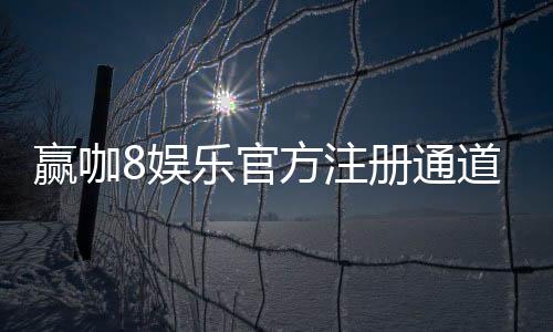 赢咖8娱乐官方注册通道：轻松开启你的高端游戏体验之旅