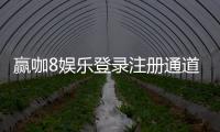 赢咖8娱乐登录注册通道：畅享顶级棋牌电游的尊贵体验