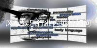 风暴娱乐行业内地位如何？深度解析其市场竞争力与玩家口碑