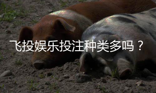 飞投娱乐投注种类多吗？全面解析平台热门游戏与特色玩法