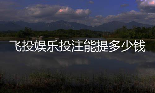 飞投娱乐投注能提多少钱？揭秘提款额度与到账时间全攻略